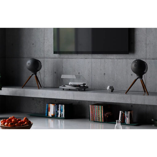 chan gan devialet treepod black 1